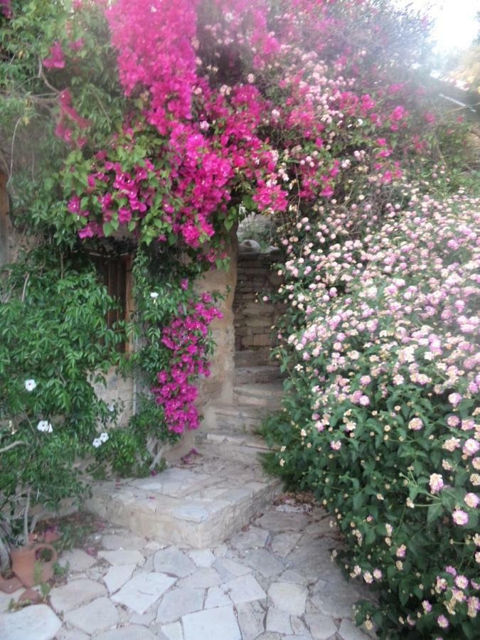 Oleander Stone House Villa Lemona Exterior foto